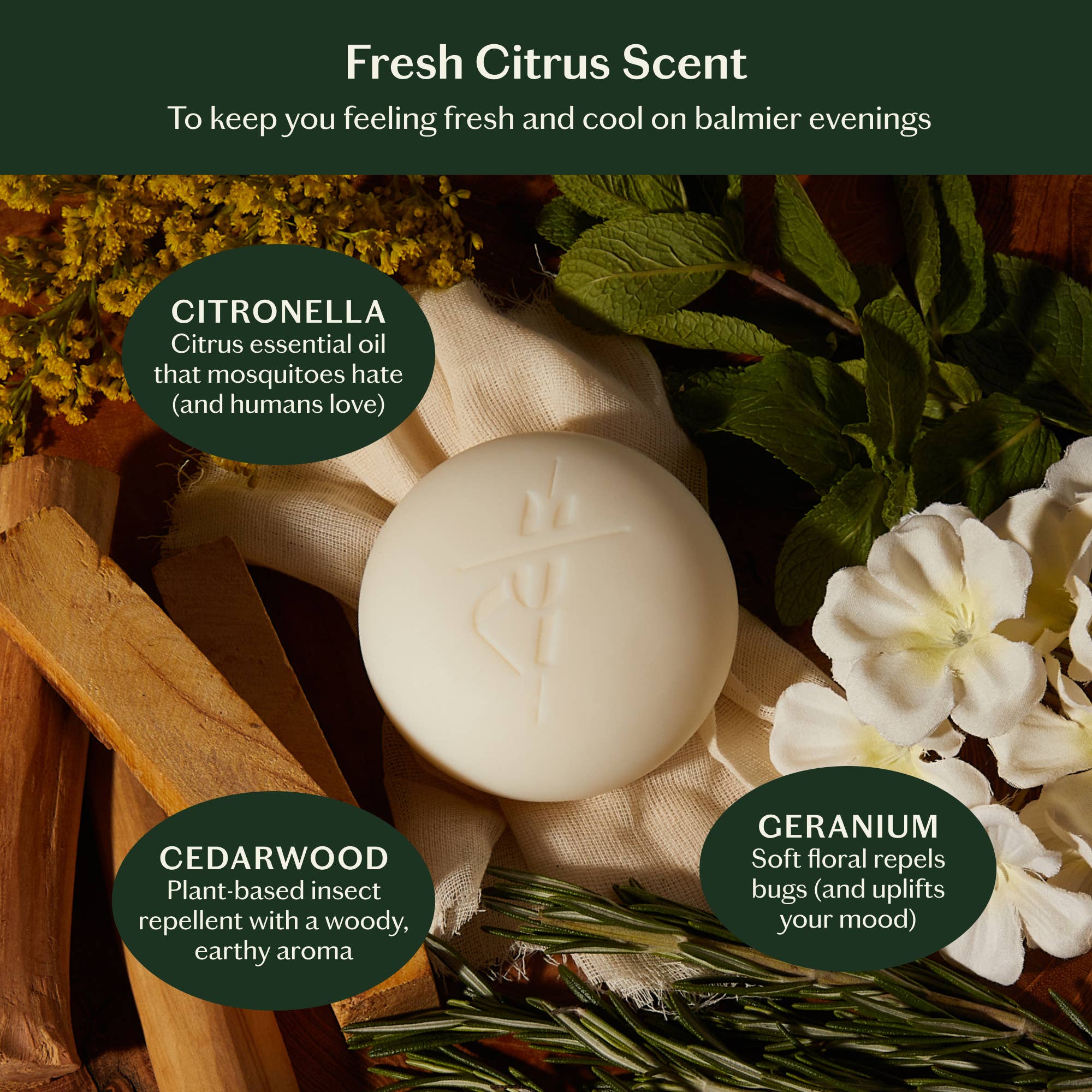 Kate McLeod - Dusk Stone | Natural Insect Repellant - The Look and Co