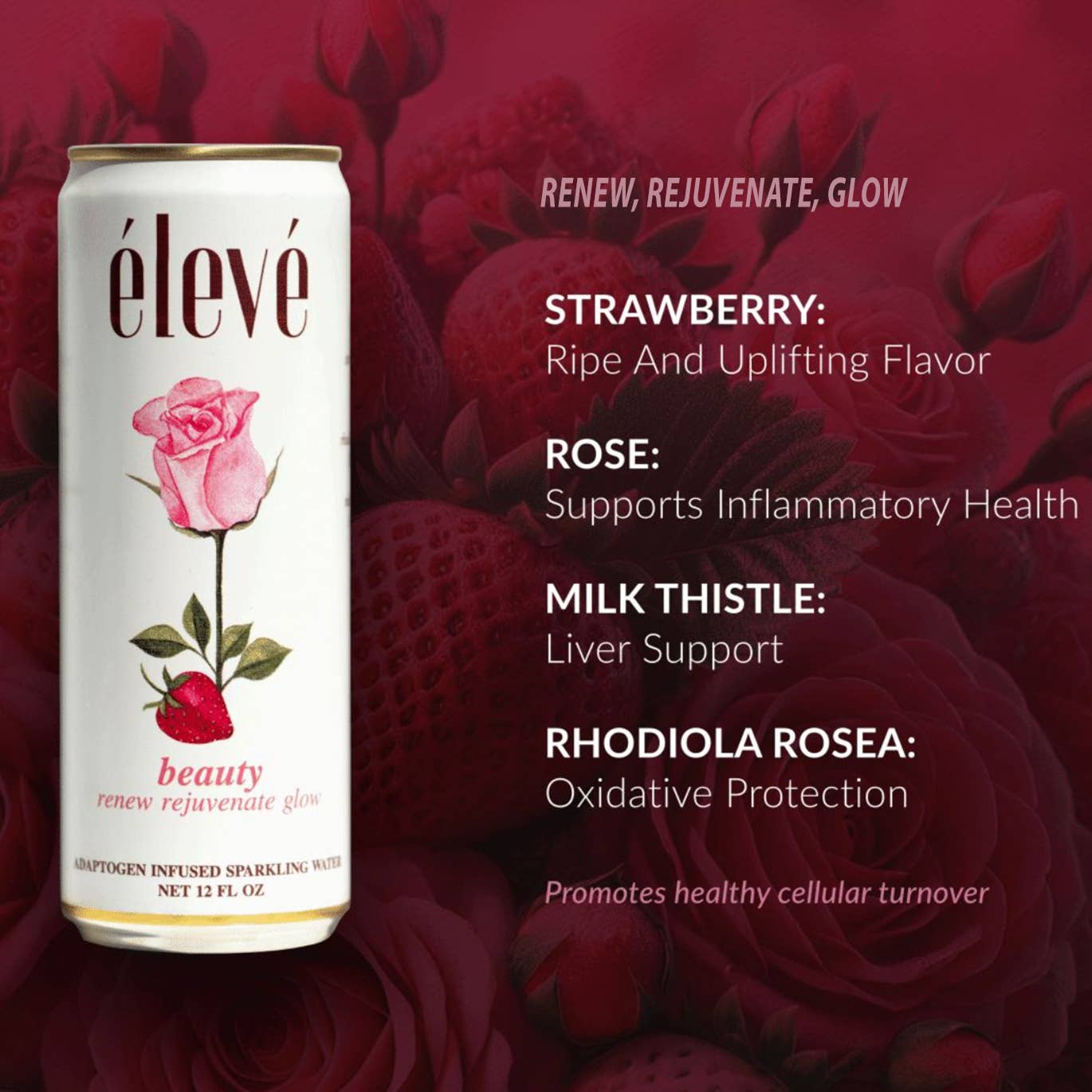 élevé - Beauty - renew, rejuvenate, glow - The Look and Co