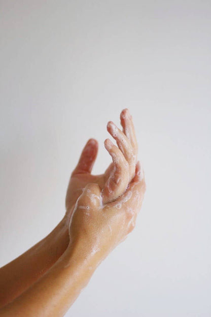 Santal Hand + Body Wash - The Look and Co